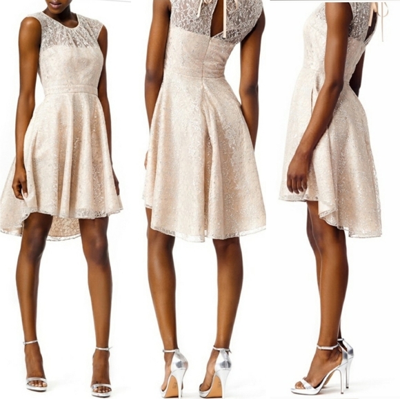 NEW RARE Slate & Willow Champagne Illusion Neckline Glistening Lace Spin Dress - Picture 15 of 16